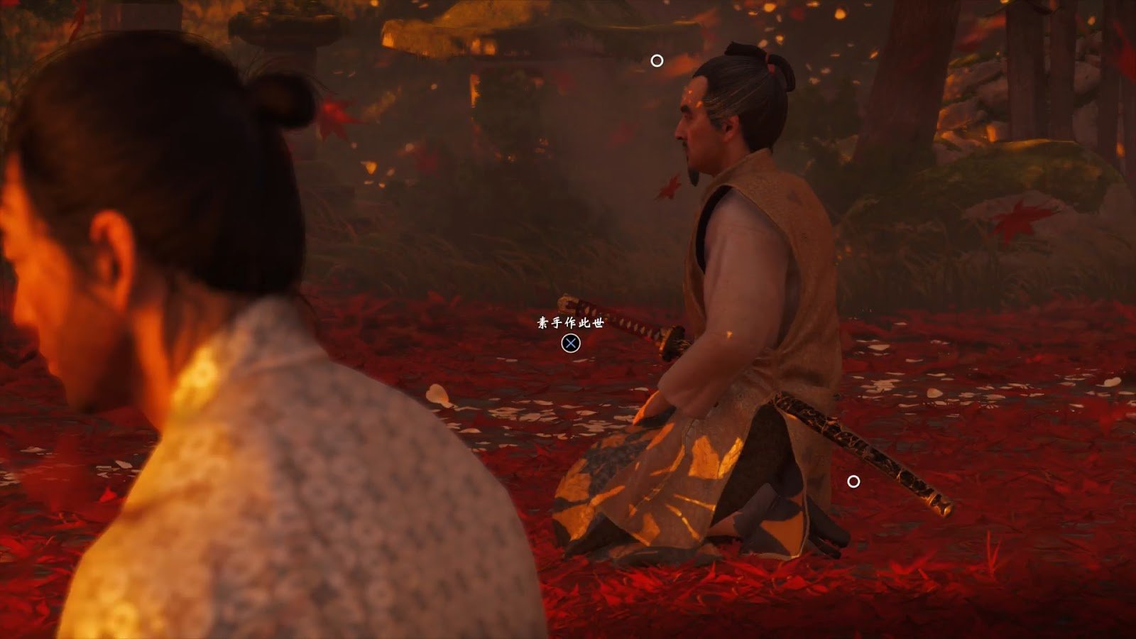 对马岛之魂 截图11