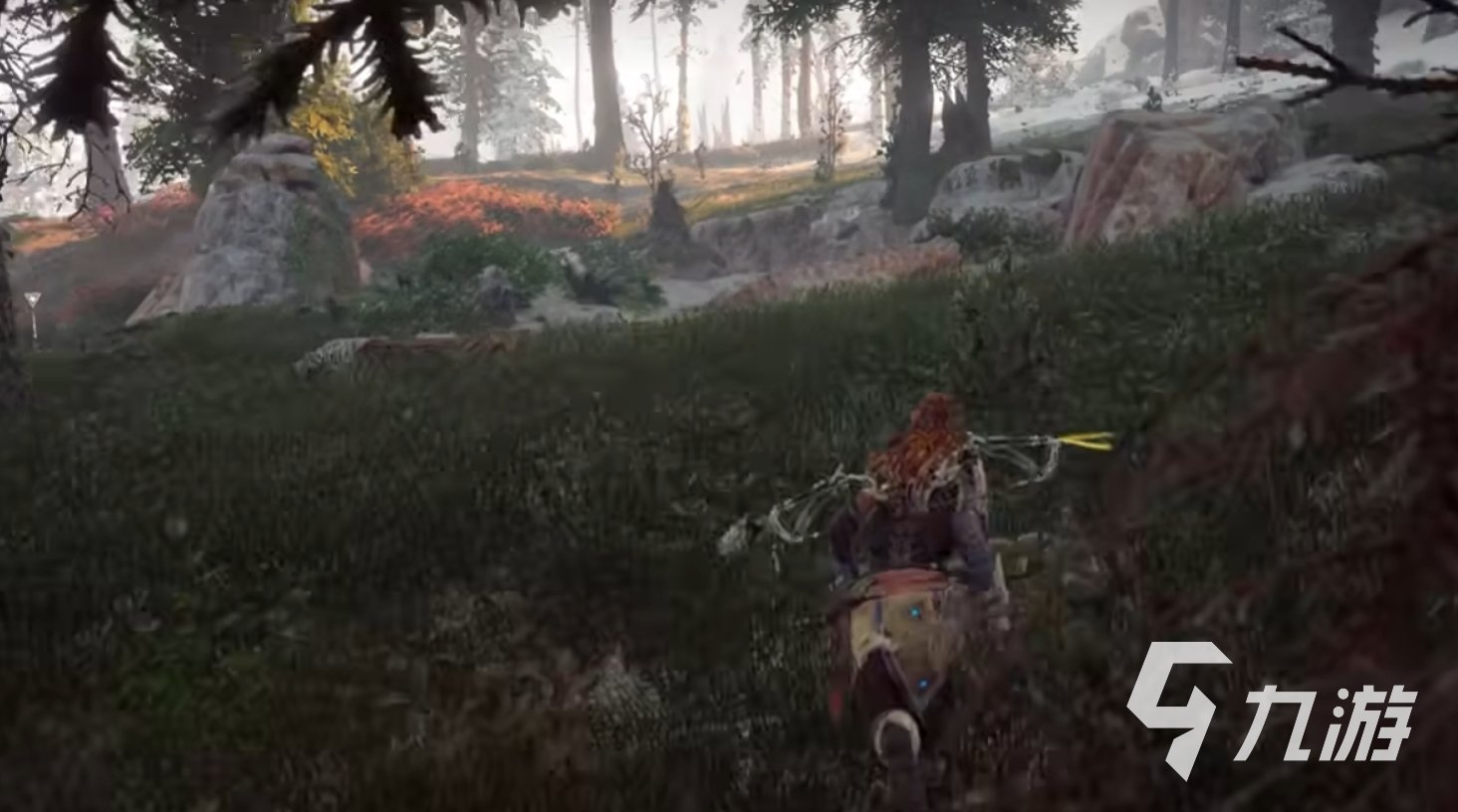 地平线：零之曙光 截图13